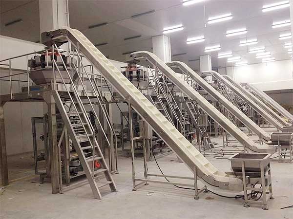 智能化全自動速凍食品91免费在线看片提升企業生產效率